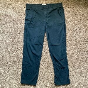 Everlane Air Chino